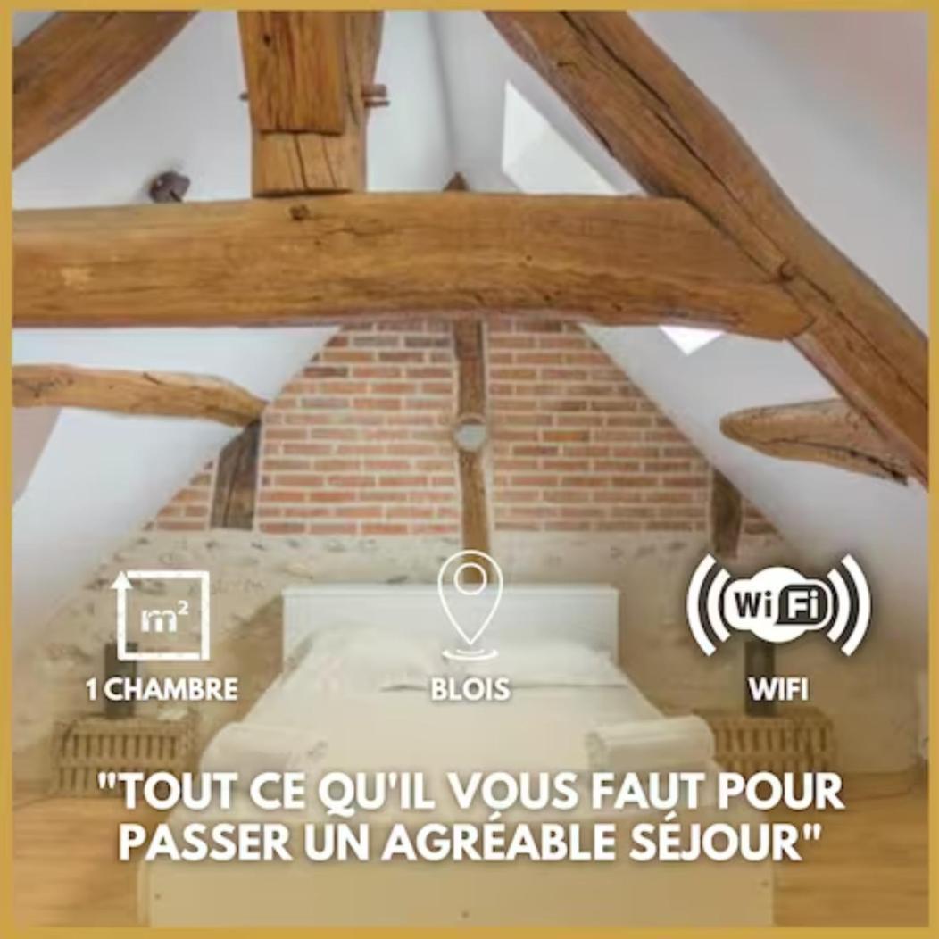 Апартаменты Duplex JoliБлуа Экстерьер фото